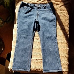 Standard 5 pocket blue jeans plus size
